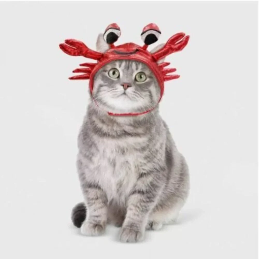 LOT OF 2 Cute Cat Costume - Hyde & EEK! Boutique -new with tags 1 CRAB & 1 TACO